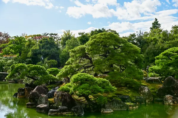 Japonya, Kyoto 'daki Nijo Şatosu' nun Japon garaj manzarası. Dünya Mirası Bölgesi, Japonya 'nın Kyoto şehrinde eski bir Japon mimarisi. Güneşli bir günde Nijo Kalesi 'nin güzelliğinin arkaplan manzarası.