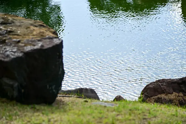 Japonya, Kyoto 'daki Nijo Şatosu' nun Japon garaj manzarası. Dünya Mirası Bölgesi, Japonya 'nın Kyoto şehrinde eski bir Japon mimarisi. Güneşli bir günde Nijo Kalesi 'nin güzelliğinin arkaplan manzarası.