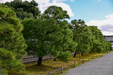 Nijo Kalesi, Kyoto, Japonya. Dünya Mirası Alanı. Japonya 'nın Kansai bölgesinde önemli bir turistik ilgi merkezi. Japonya 'nın ünlü tarihi mimarisi. Dış mekan ve doğa manzarası inşa ediliyor.
