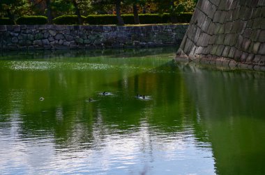 Nijo Kalesi 'nin hendeği, Kyoto, Japonya. Dünya Mirası Alanı. Japonya 'nın Kansai bölgesinde önemli bir turistik ilgi merkezi. Japonya 'nın ünlü tarihi mimarisi. Doğa sahnesi.
