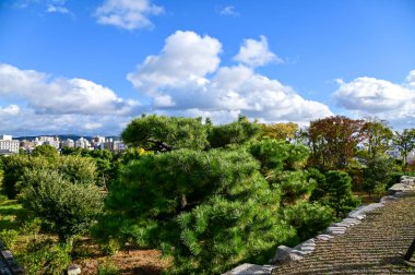 Japonya, Kyoto 'daki Nijo Kalesi' nin tepesinden doğa ve şehir manzarası. Dünya Mirası Alanı. Japonya 'nın Kansai bölgesinde önemli bir turistik ilgi merkezi. Japonya 'nın ünlü tarihi mimarisi. Doğa sahnesi.