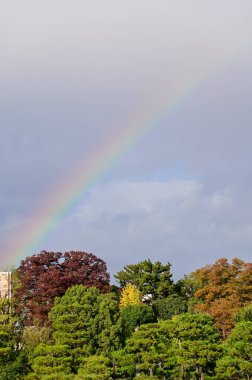 Rainbow on the sky from the view of nijo jo castle, Kyoto, Japan. World Heritage Site. Major tourist attraction in Kansai region in Japan. Japan famous historic architecture. Nature scene. clipart