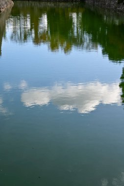 Japonya, Kyoto 'daki Nijo Kalesi' nin hendeğine yakın çekim. Dünya Mirası Alanı. Bitkilerle su yansıması. Japonya 'nın Kansai bölgesinde önemli bir turistik ilgi merkezi. Doğa sahnesi.