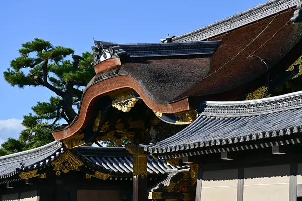 Nijo Kalesi, Kyoto, Japonya. Dünya Mirası Alanı. Japonya 'nın Kansai bölgesinde önemli bir turistik ilgi merkezi. Japonya 'nın ünlü tarihi mimarisi. Dış mekan ve doğa manzarası inşa ediliyor.