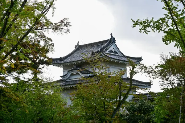 Nijo Kalesi, Kyoto, Japonya. Dünya Mirası Alanı. Japonya 'nın Kansai bölgesinde önemli bir turistik ilgi merkezi. Japonya 'nın ünlü tarihi mimarisi. Dış mekan ve doğa manzarası inşa ediliyor.
