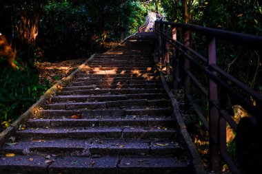 Gün batımında Xiangshan Yürüyüş Yolu 'nu güneş ışığıyla kapatın. Taipei yakınlarındaki doğal bir patika, aynı zamanda Fil Dağı olarak da bilinir. Seyahat ve doğa sahnesi.