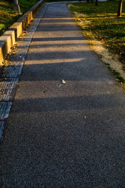 Gün batımında Xiangshan Yürüyüş Yolu 'nu güneş ışığıyla kapatın. Taipei yakınlarındaki doğal bir patika, aynı zamanda Fil Dağı olarak da bilinir. Seyahat ve doğa sahnesi.