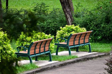 Yeşil ağaçlı bir Hong Kong halk parkı. Doğa sahnesi.