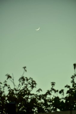 Gökyüzünde Ay 'a yakın çekim. Gökyüzüne bakıyorum. Doğa konsepti.