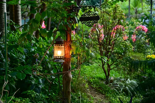 Bahçede çok güzel renkli bir lamba var. Dışarıda Retro tarzı fener var. Antika fener. Doğa konsepti.