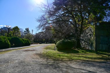 Nagoya 'daki halka açık park, Japonya' da güneş ışığı var. Nagoya 'daki güzel park manzarası. Doğa ve seyahat kavramı.