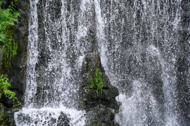 Halka açık bir parktaki şelale manzarası. Su sıçrıyor, su akıyor. Doğa konsepti.