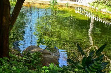 Halk parkında göletli bir bahçe manzarası. Parktaki bahçe manzarası. Doğa ve manzara kavramı.