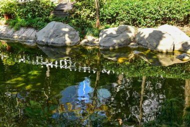 Halk parkında göletli bir bahçe manzarası. Parktaki bahçe manzarası. Doğa ve manzara kavramı.