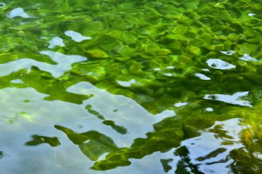 Halka açık bir parktaki havuz suyuna yakın çekim. Yansımalı berrak su. Su yansıması. Doğa sahnesi.