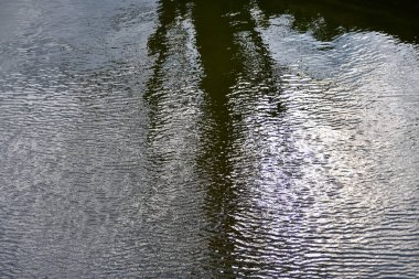 Halka açık bir parktaki havuz suyuna yakın çekim. Yansımalı berrak su. Su yansıması. Doğa sahnesi.