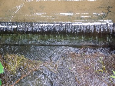 Halka açık bir parktaki şelale manzarası. Su sıçrıyor, su akıyor. Doğa konsepti.