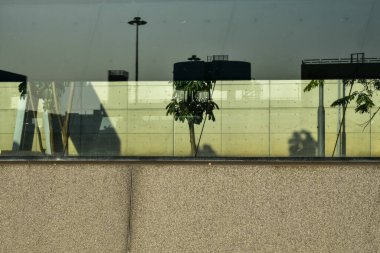 Ağaç sahnesiyle pencereden bak. Pencereden bahçeye bak. Ağaçlara bakan pencere. Doğa sahnesi. Doğa, ağaç arkaplanı.