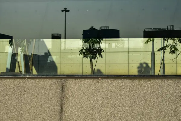 Ağaç sahnesiyle pencereden bak. Pencereden bahçeye bak. Ağaçlara bakan pencere. Doğa sahnesi. Doğa, ağaç arkaplanı.