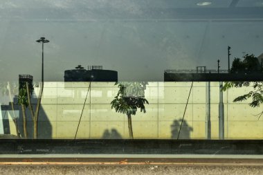 Ağaç sahnesiyle pencereden bak. Pencereden bahçeye bak. Ağaçlara bakan pencere. Doğa sahnesi. Doğa, ağaç arkaplanı.