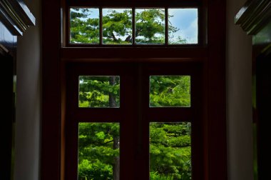 Ağaç sahnesiyle pencereden bak. Pencereden bahçeye bak. Ağaçlara bakan pencere. Doğa sahnesi. Doğa, ağaç arkaplanı.