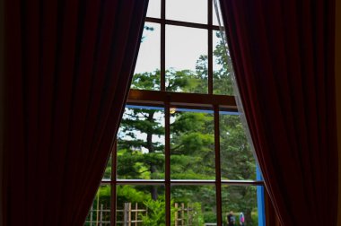 Ağaç sahnesiyle pencereden bak. Pencereden bahçeye bak. Ağaçlara bakan pencere. Doğa sahnesi. Doğa, ağaç arkaplanı.