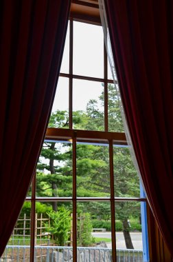 Ağaç sahnesiyle pencereden bak. Pencereden bahçeye bak. Ağaçlara bakan pencere. Doğa sahnesi. Doğa, ağaç arkaplanı.