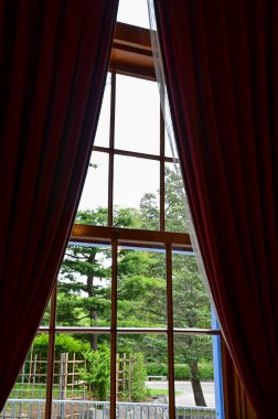 Ağaç sahnesiyle pencereden bak. Pencereden bahçeye bak. Ağaçlara bakan pencere. Doğa sahnesi. Doğa, ağaç arkaplanı.