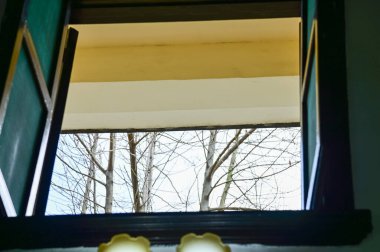 Ağaç sahnesiyle pencereden bak. Pencereden bahçeye bak. Ağaçlara bakan pencere. Doğa sahnesi. Doğa, ağaç arkaplanı.