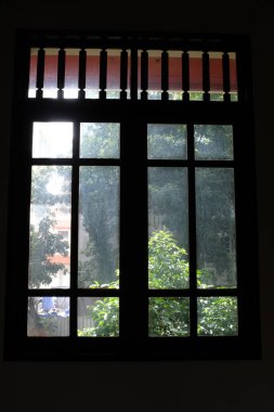 Ağaç sahnesiyle pencereden bak. Pencereden bahçeye bak. Ağaçlara bakan pencere. Doğa sahnesi. Doğa, ağaç arkaplanı.