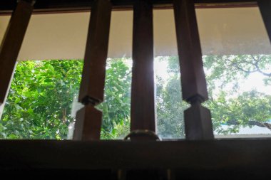 Ağaç sahnesiyle pencereden bak. Pencereden bahçeye bak. Ağaçlara bakan pencere. Doğa sahnesi. Doğa, ağaç arkaplanı.