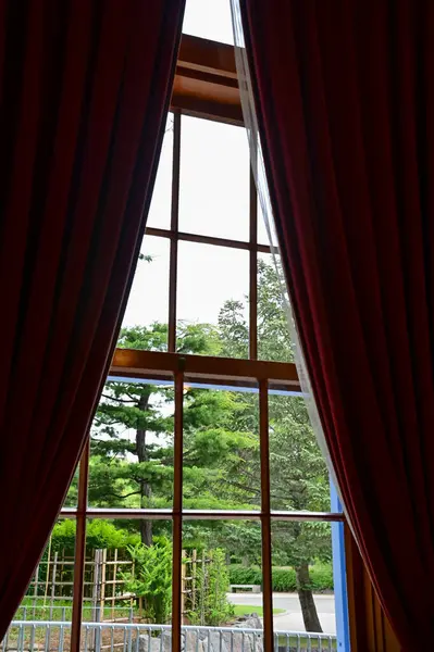 Ağaç sahnesiyle pencereden bak. Pencereden bahçeye bak. Ağaçlara bakan pencere. Doğa sahnesi. Doğa, ağaç arkaplanı.