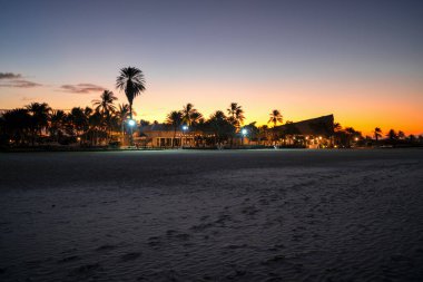 Palmiye ağaçlarının üzerinden portakal renkli gün doğumunun muhteşem manzarası. Venezuela 'daki Coche Adası' ndaki tropik plaj manzarası. Güney Amerika kıyıları.