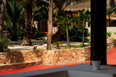 Tropik seyahat, lüks oteller, Karayipler, Coche Adası, Venezuela 'daki bir otelde palmiye ağaçlarıyla dinlendirici manzara..