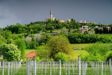 Conegliano, tepeler ve şarap bağları. Veneto, İtalya. Tepedeki kilise..