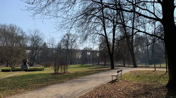 Stock image beautiful view of the park