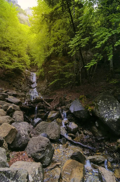 A waterfall of a small stream in the Ordesa national park in the spanish Pyrenees surrounded by a dense forest