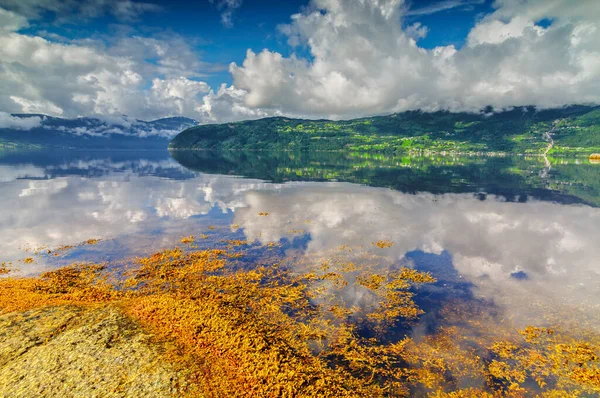 Norveç 'te berrak gökyüzü ve bulutlarla dolu bir fiyortta durgun bir suya yansıyor