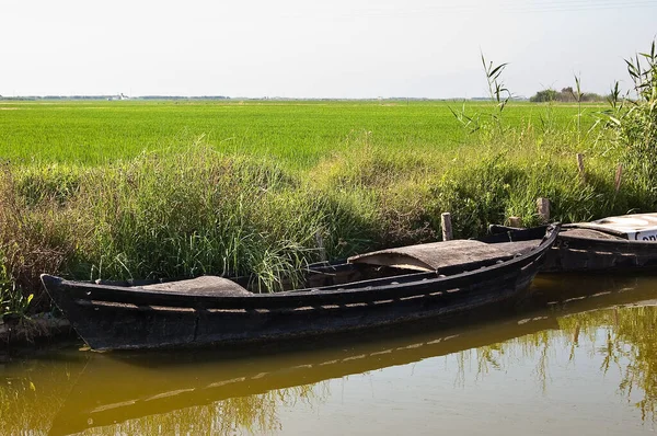 Geleneksel balıkçı teknesi arka planda pirinç tarlalarıyla gölün kıyısına park edilmiş.