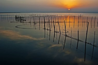 Valencia 'daki Albufera gölünde sıcak renklerle altın gün batımı, İspanya' da suda balık tuzakları.