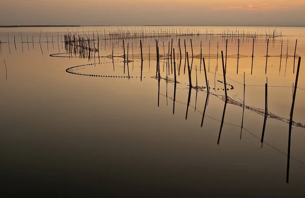 Valencia 'daki Albufera gölünde sıcak renklerle altın gün batımı, İspanya' da suda balık tuzakları.