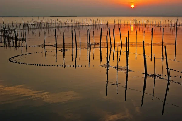 Valencia 'daki Albufera gölünde sıcak renklerle altın gün batımı, İspanya' da suda balık tuzakları.