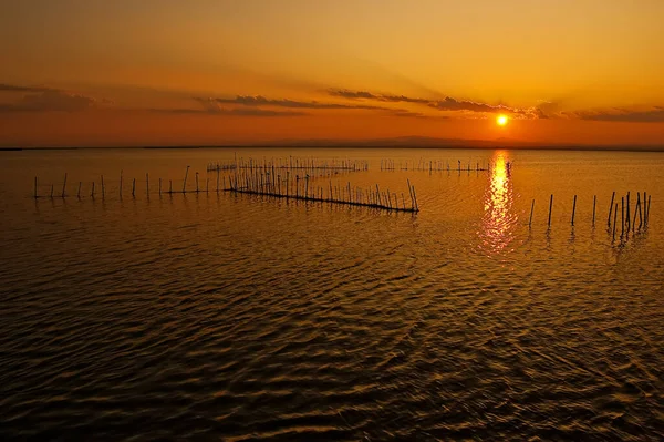 Valencia 'daki Albufera gölünde sıcak renklerle altın gün batımı, İspanya' da suda balık tuzakları.