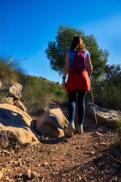 Kız yazın elinde bastonla dağda yürüyüş yapıyor.