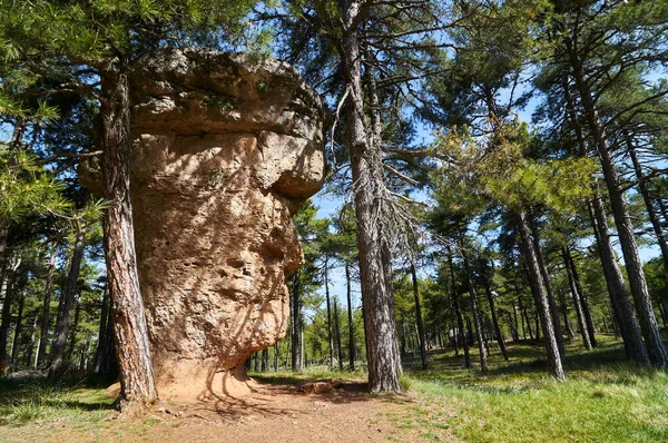 İspanya Cuenca 'daki erozyonla farklı şekillerde kaya oluşumları, La ciudad encantada olarak bilinir, büyülenmiş şehir.