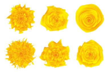 Renkli geometrik soyut çiçekler seti. Vektör illüstrasyonu.