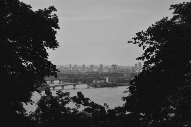 Dnipro nehri ağaçların doğal penceresinden geçer.