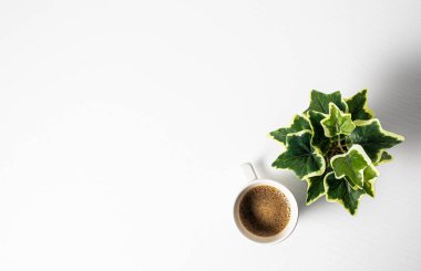 a cup of tea with a white background, a mug of coffee and a flower. top view