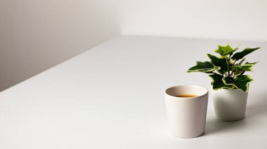 white cup with a coffee on wooden floor