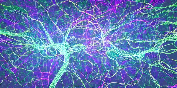 Neural connections in the human brain